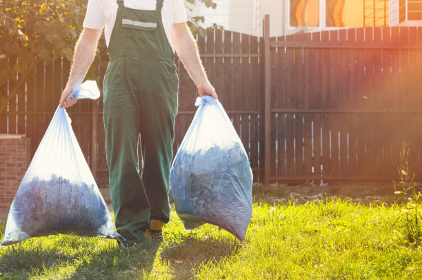 Best Household Junk Removal  in Park Forest, IL